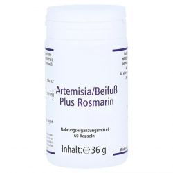 Артемизинин 150 мг капс. 60шт в Костроме и области фото