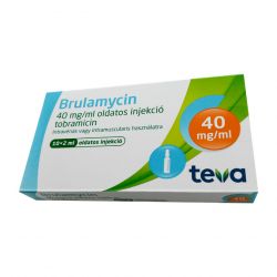 Бруламицин раствор для инъекций 40мг/мл 2мл! (80мг) ампулы №10 в Костроме и области фото
