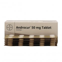 Андрокур (Ципротерон) таблетки 50мг №50 в Костроме и области фото