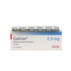Гутрон таблетки 2,5 мг. №20 в Костроме и области фото